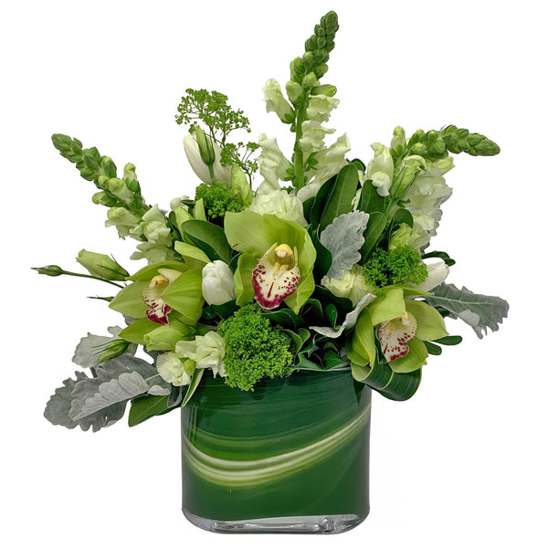 Green Orchid Floral Arrangement