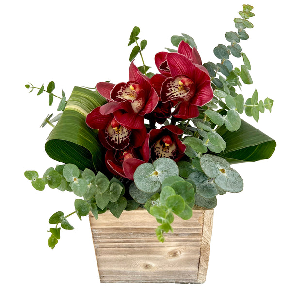 Boxed Cymbidium Flower Arrangement