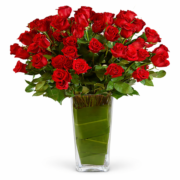 Bellissimo 100 Long-Stemmed Roses