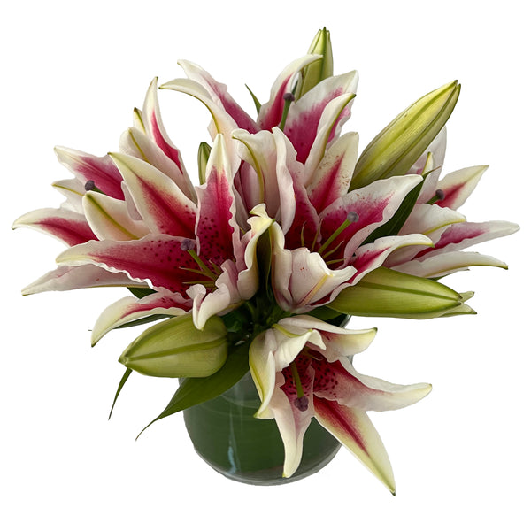 Simply Lily Flower Arrangement