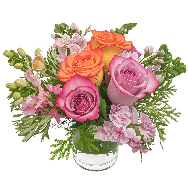 Boutique Soft Sorbet Plush Mix Flora