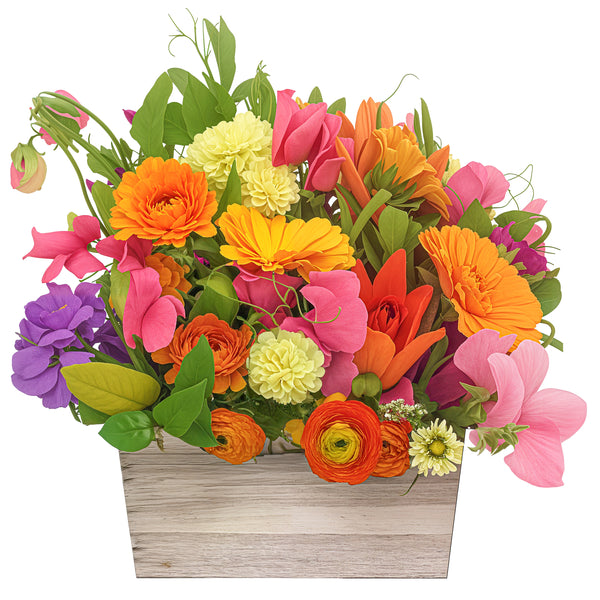 Neptune Fiori Arrangement