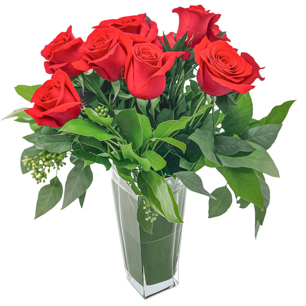 Valentine Famoso 1 Dozen Roses