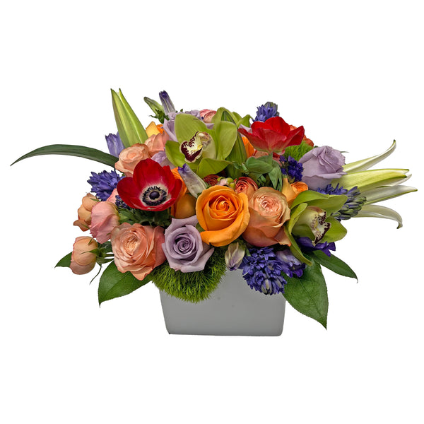 Pave Rainbow Arrangement