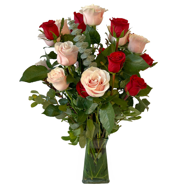 18 Roses - Pink and Red Classic