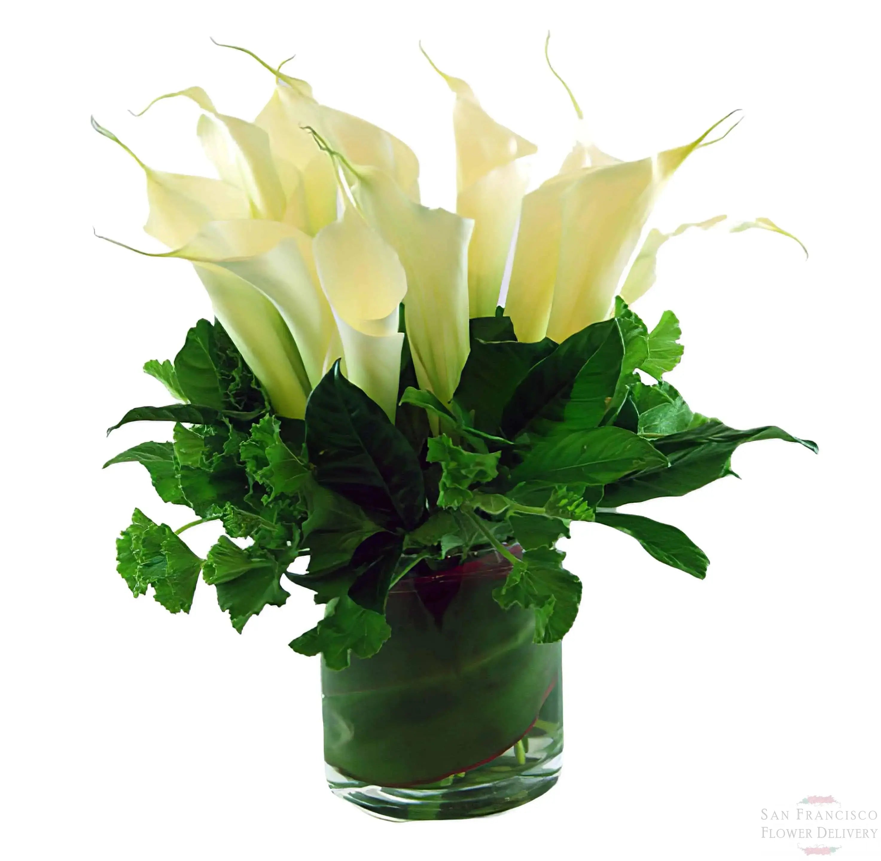 Calla Lily Esplosione Flower Arrangement