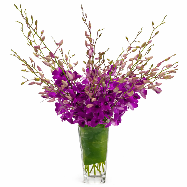 Dendrobium Pop! Flower Arrangement