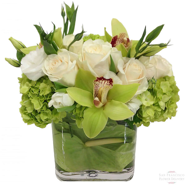 Juno Fiori Arrangement