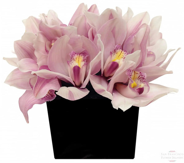 Maia Fiori Arrangement