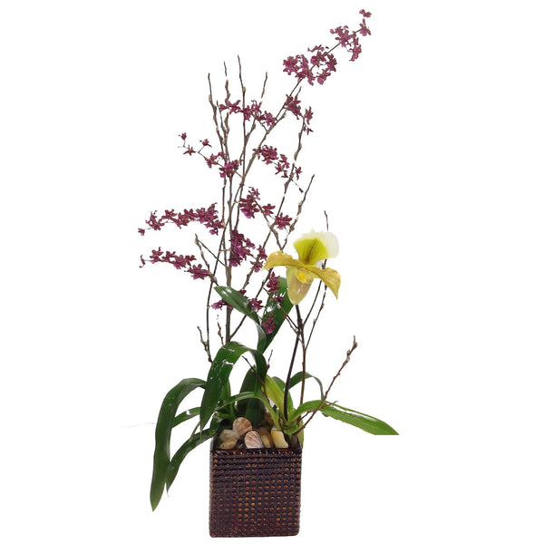 Paired Orchid Planter