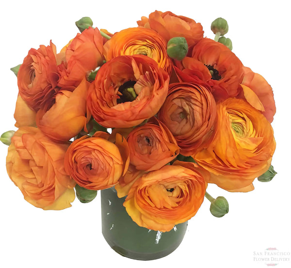 Ranunculus Sun Arrangement