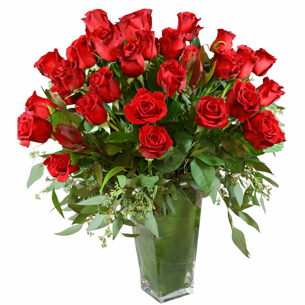 Valentine Famoso 4 Dozen Roses