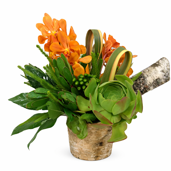 Avant Garde Flower Arrangement