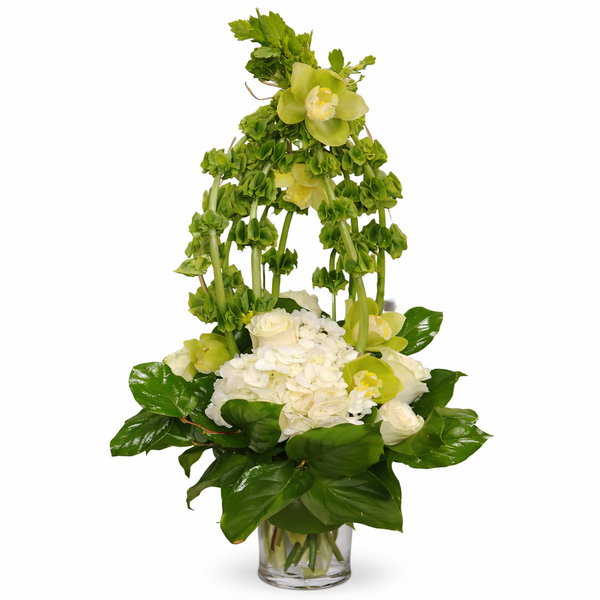 Bellezza Verde Alta Flower Arrangement