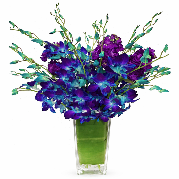 Bright Night Sky Flower Arrangement
