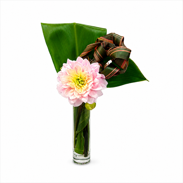 Dahlia Swirl Flower Arrangement