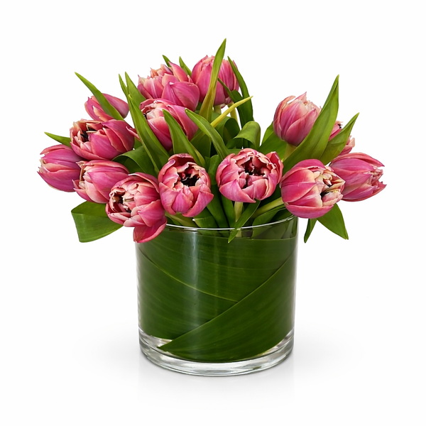 Double Tulip Fantasy