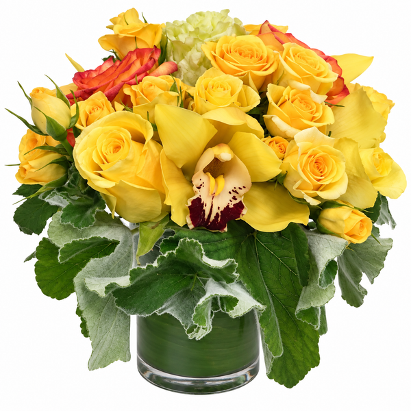 Fiori di Africus Flower Arrangement