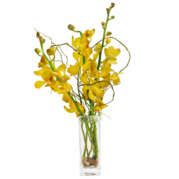 Mokara Flower Arrangement
