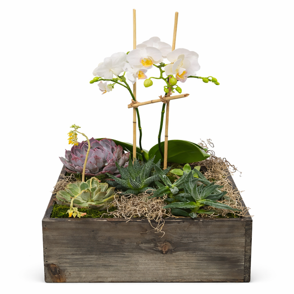 Office Friend Planter