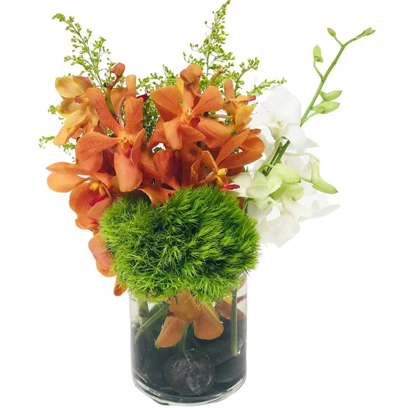 Orchid Shore Flower Arrangement