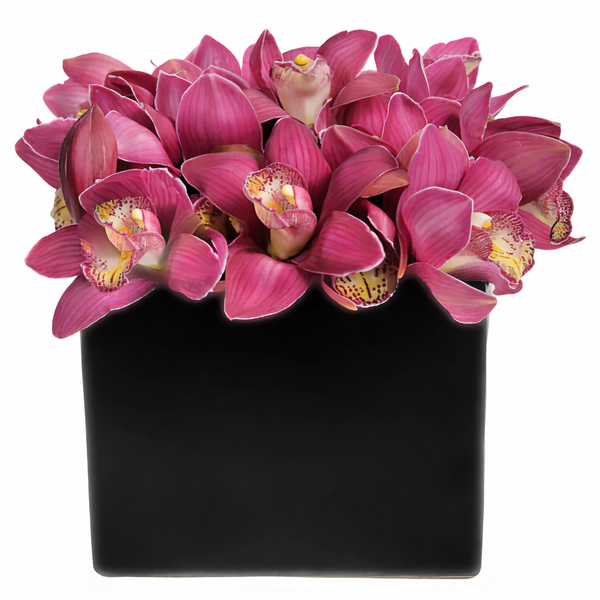 Simply Cymbidium Flower Arrangement