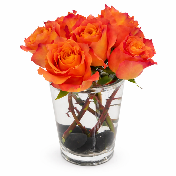 Sweet Six Floral Arrangement
