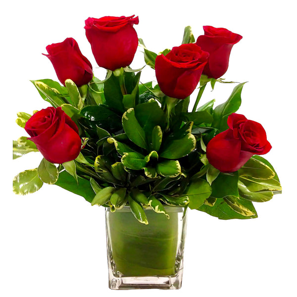 Traditional Six Rose Arrangement
