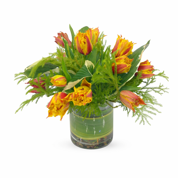 Tulip Francois Flower Arrangement