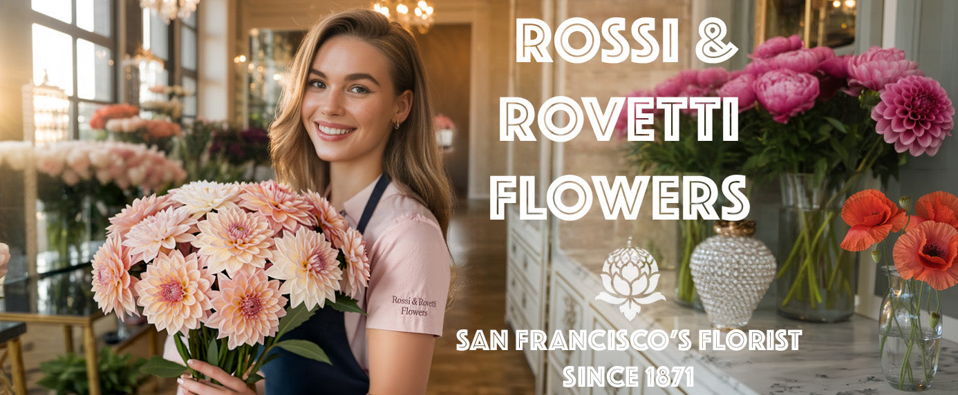 Summer Flowers in San Francisco