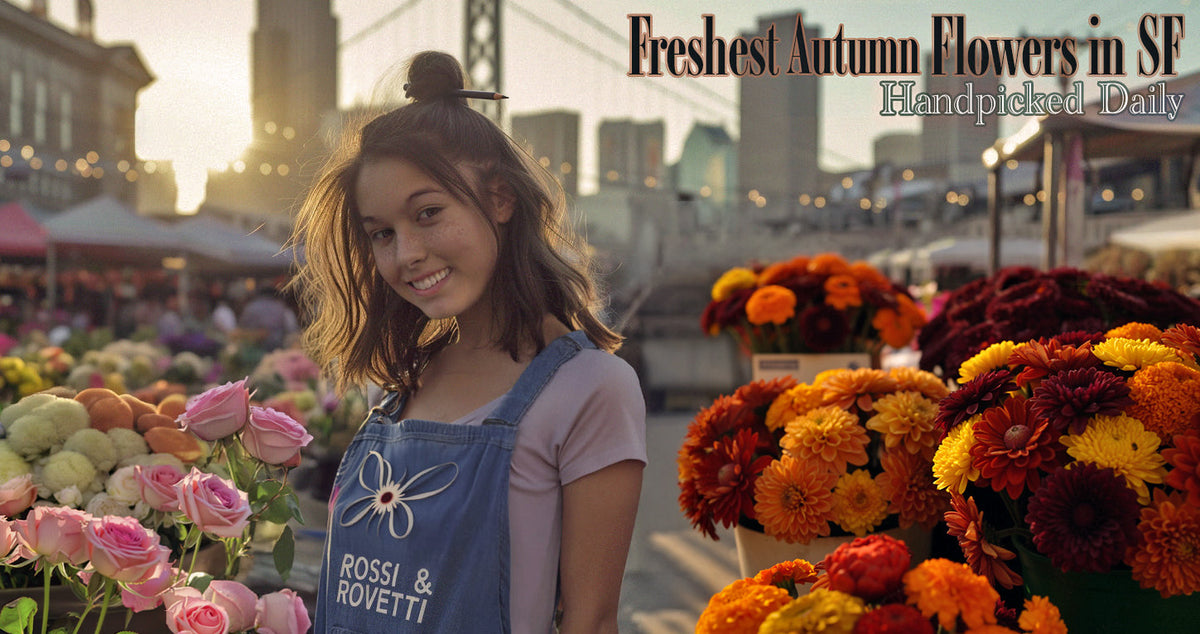 Autumn Flowers in San Francisco